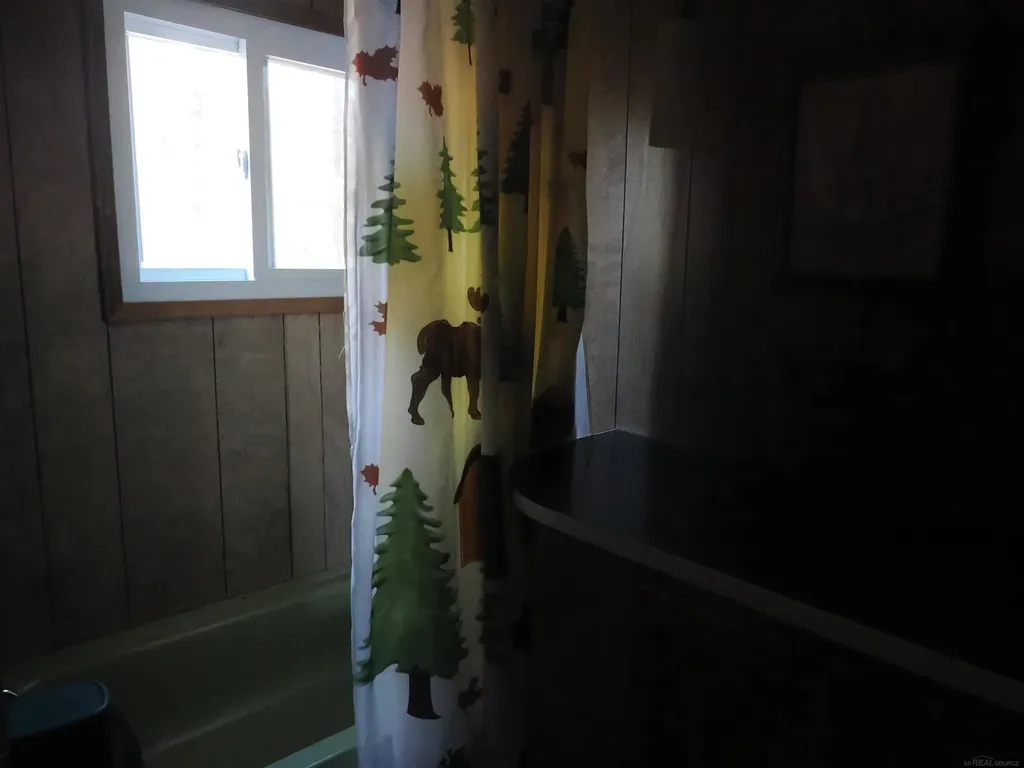 6035 W Sadlers Loop Seney Township MI 49883
