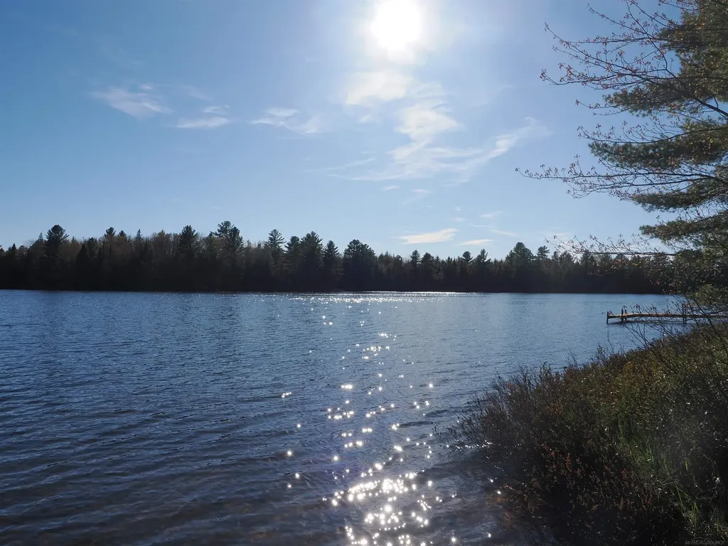 6035 W Sadlers Loop Seney Township MI 49883