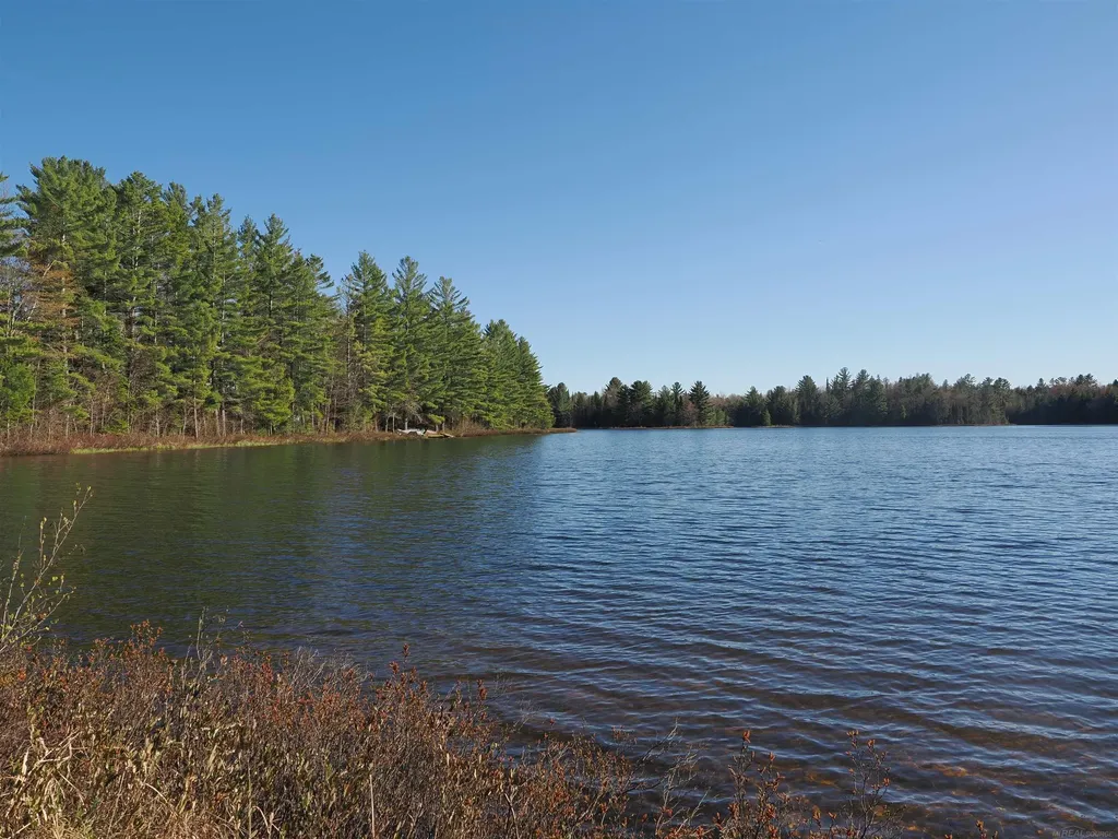 6035 W Sadlers Loop Seney Township MI 49883