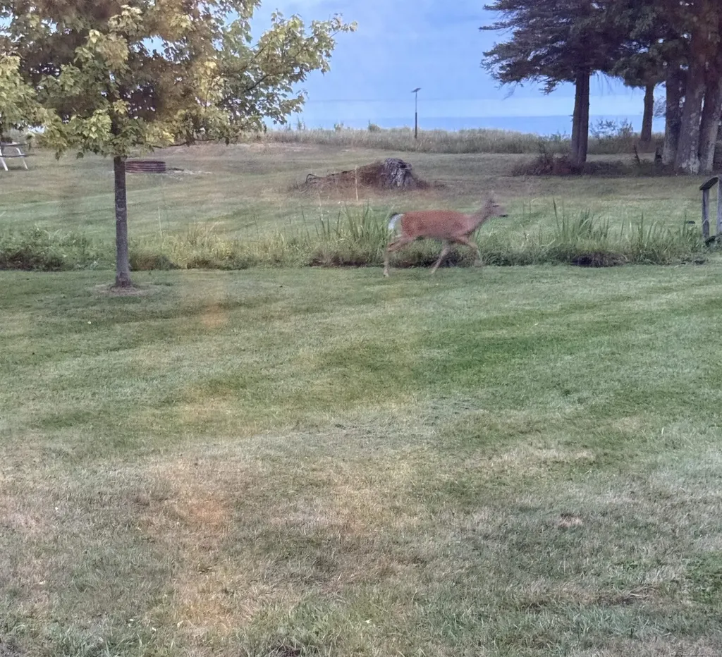 2125 Mckechnie Road Haynes Township MI 48740