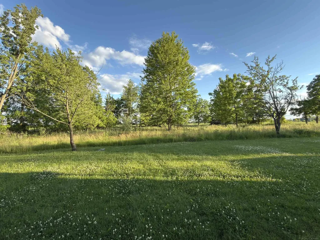 1451 N Loree Road Bridgehampton Township MI 48419