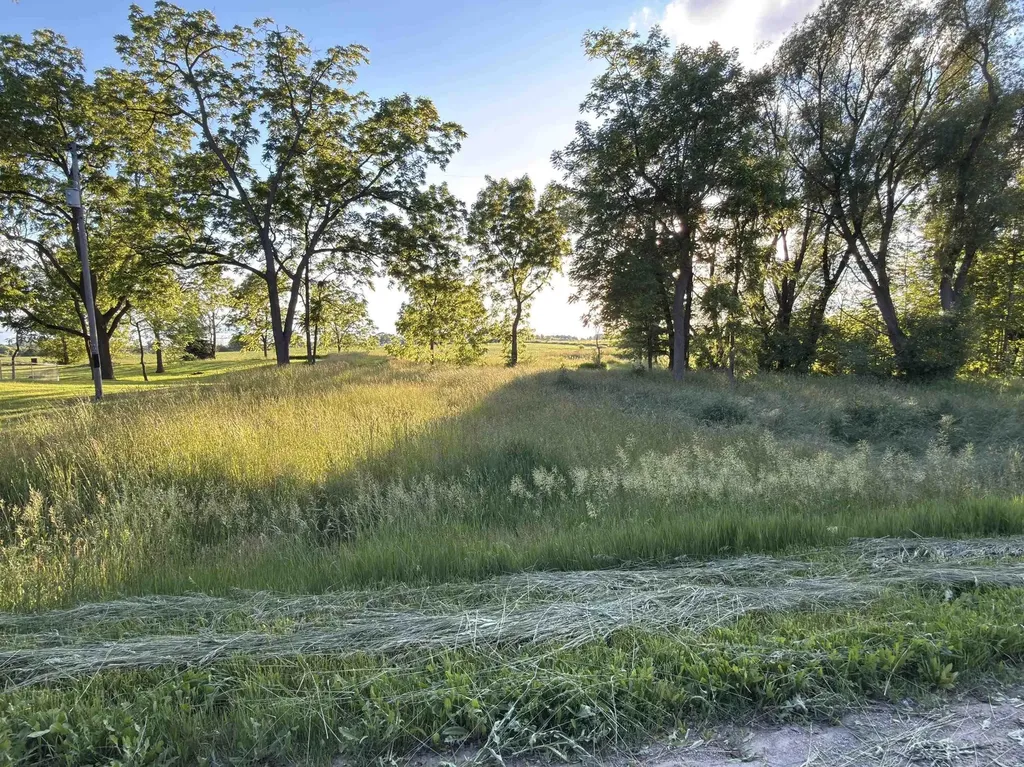 1451 N Loree Road Bridgehampton Township MI 48419
