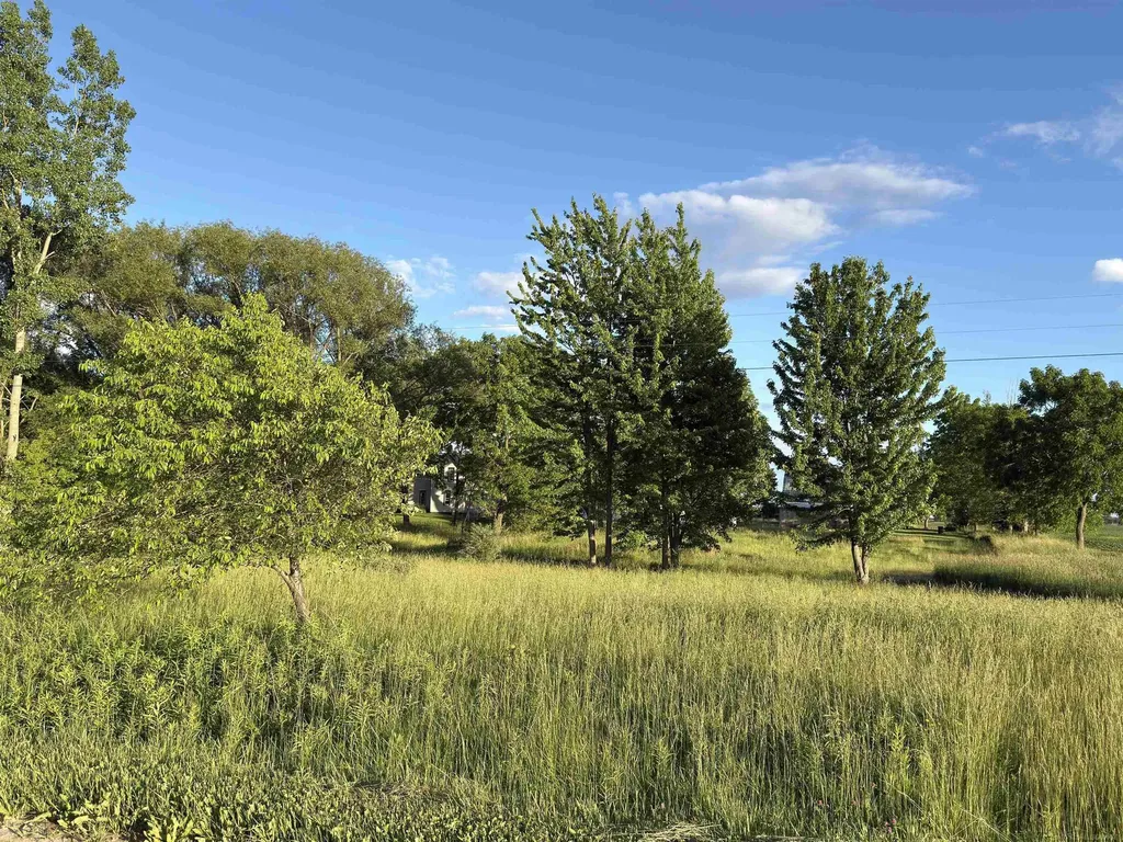 1451 N Loree Road Bridgehampton Township MI 48419