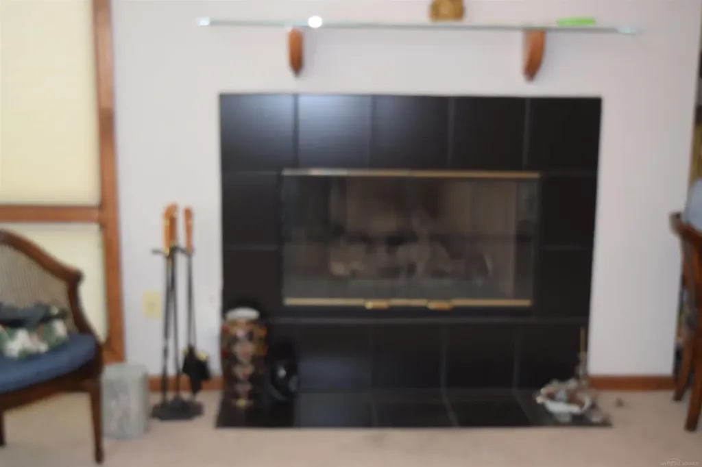 1037 Todd Court White Lake Charter Township MI 48383
