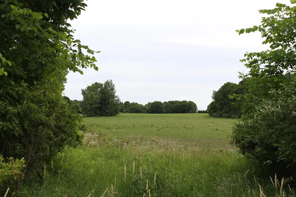 Tbd Burnside Road Marathon Township MI 48464