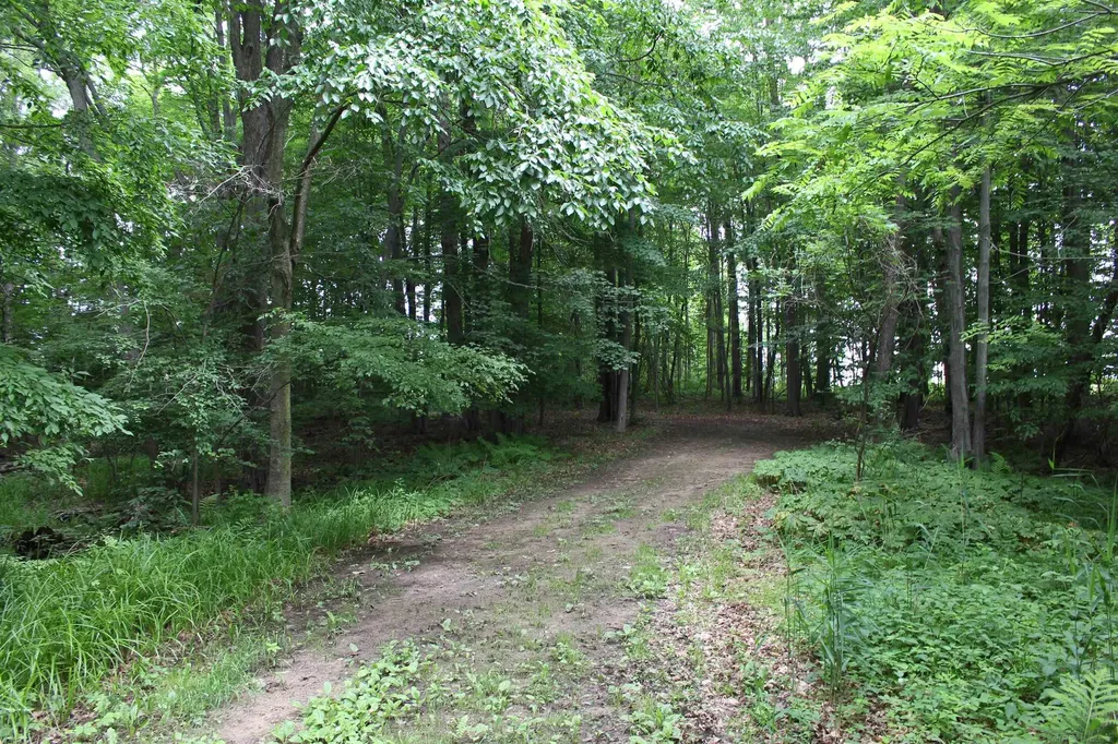 Tbd Burnside Road Marathon Township MI 48464