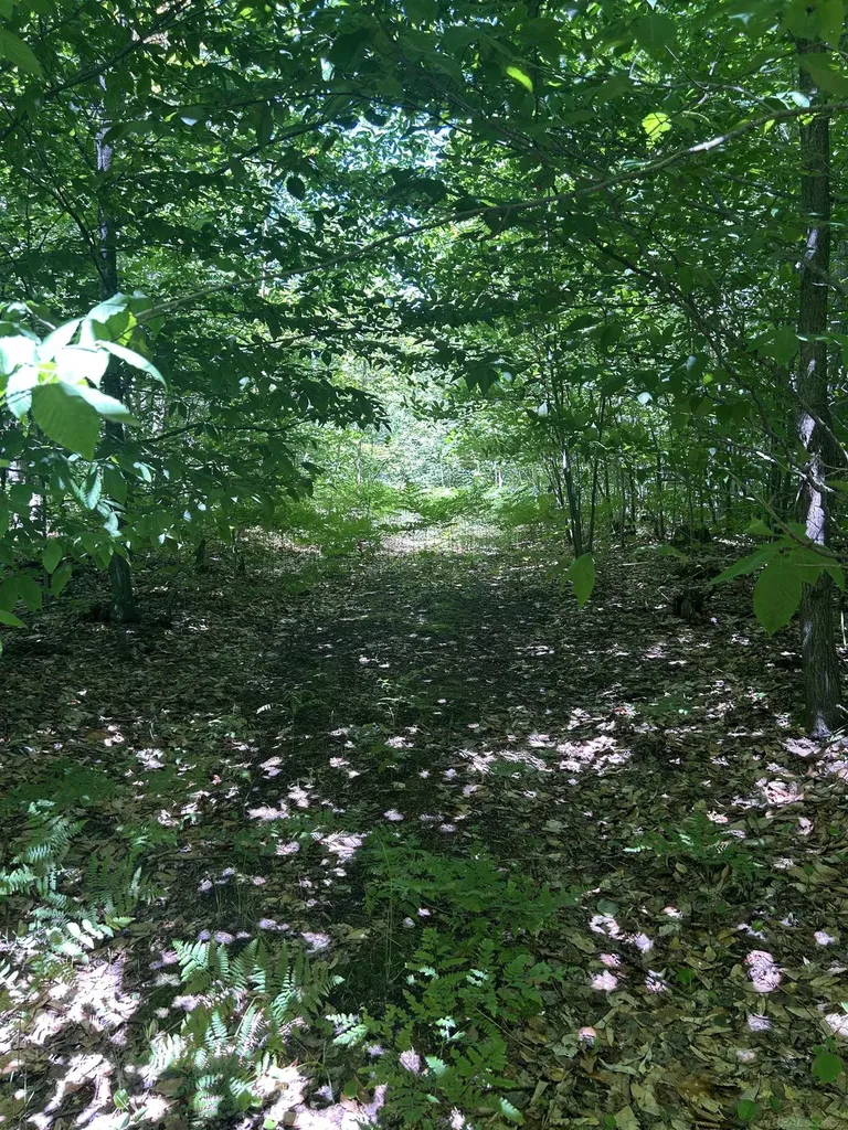 2263 Elder Road Unknown City MI 49718