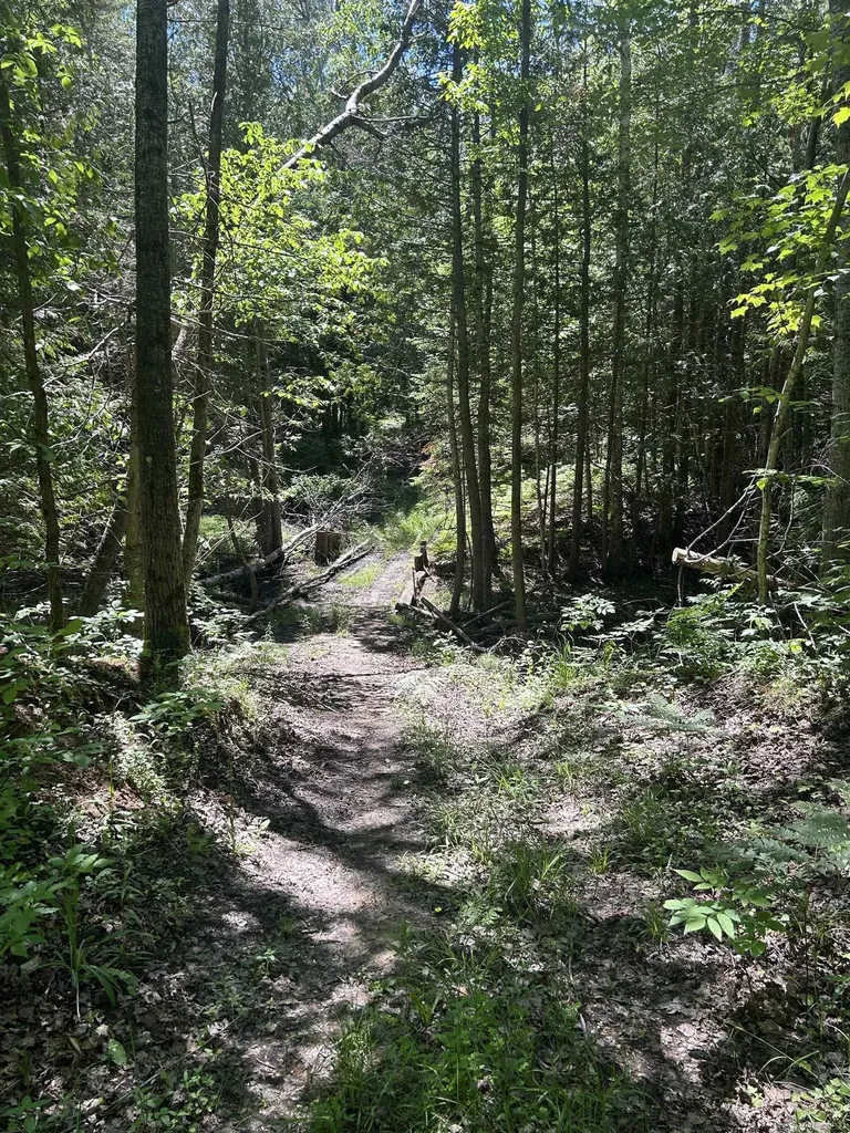 2263 Elder Road Unknown City MI 49718