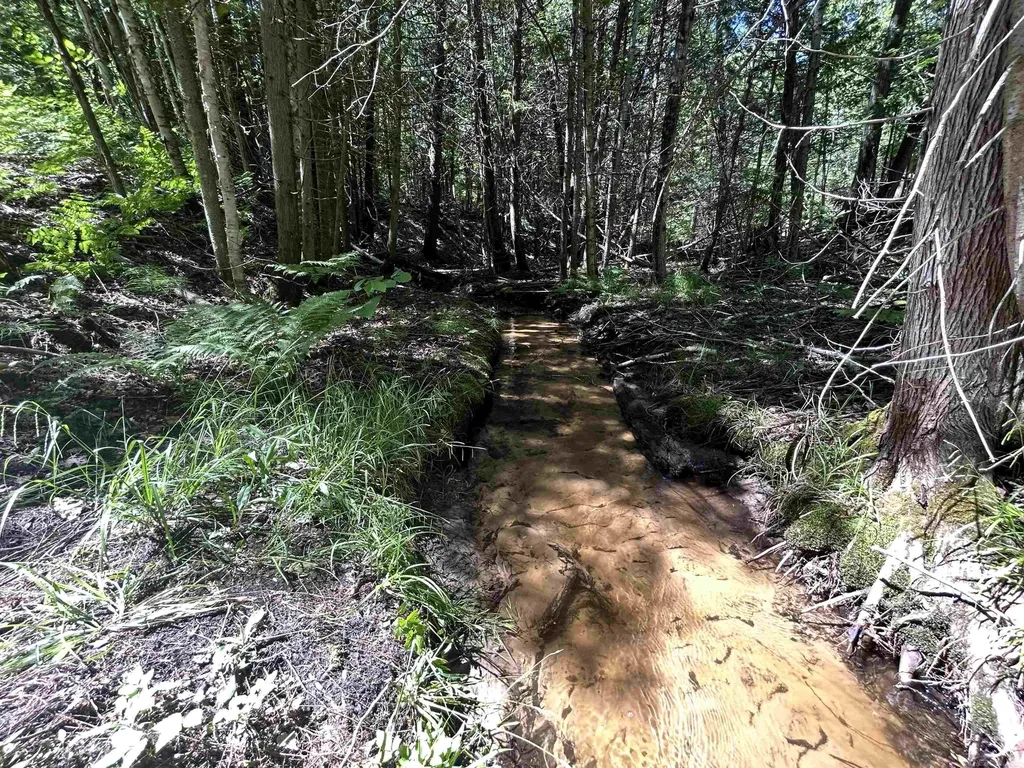 2263 Elder Road Unknown City MI 49718