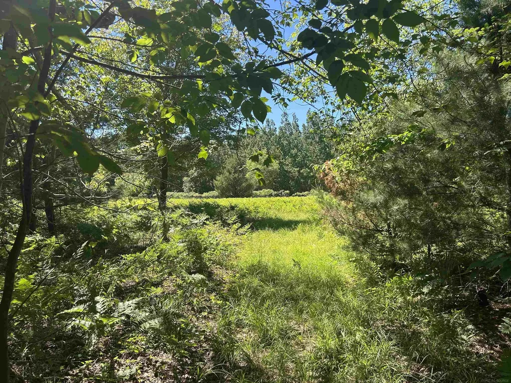 2263 Elder Road Unknown City MI 49718