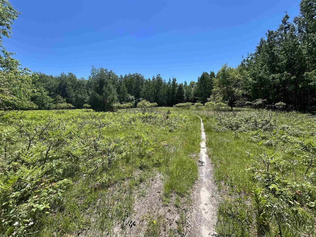 2263 Elder Road Unknown City MI 49718