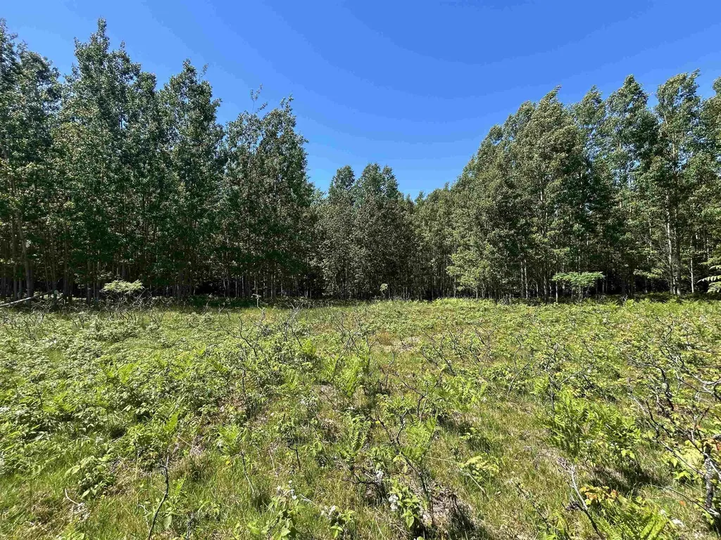 2263 Elder Road Unknown City MI 49718