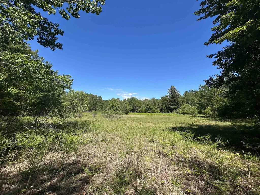 2263 Elder Road Unknown City MI 49718