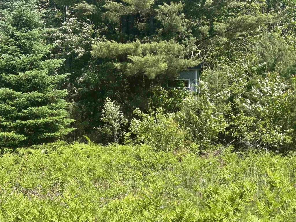 2263 Elder Road Unknown City MI 49718