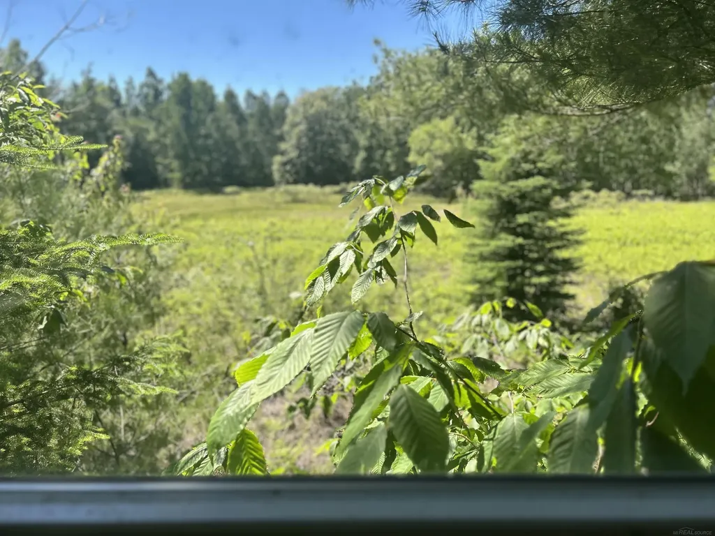 2263 Elder Road Unknown City MI 49718