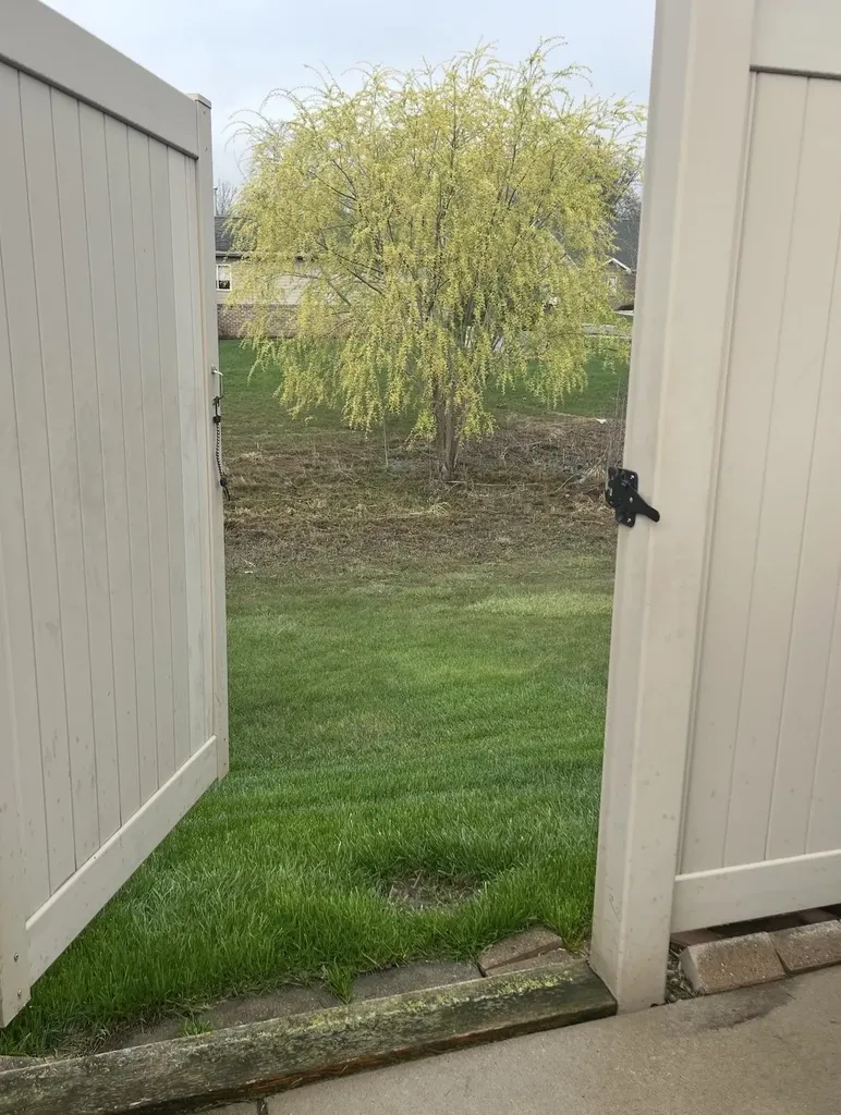 35275 Silver Maple Drive Clinton Charter Township MI 48035