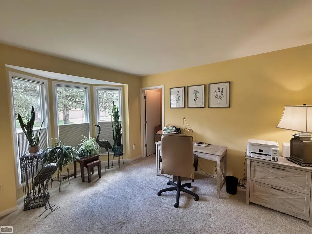 41371 Carmelo W Drive Clinton Charter Township MI 48038