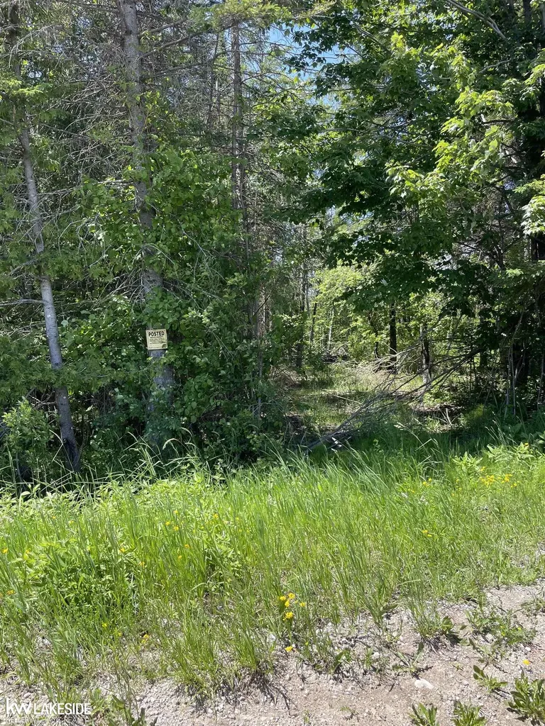 14027 Goebel Road Beaugrand Township MI 49721