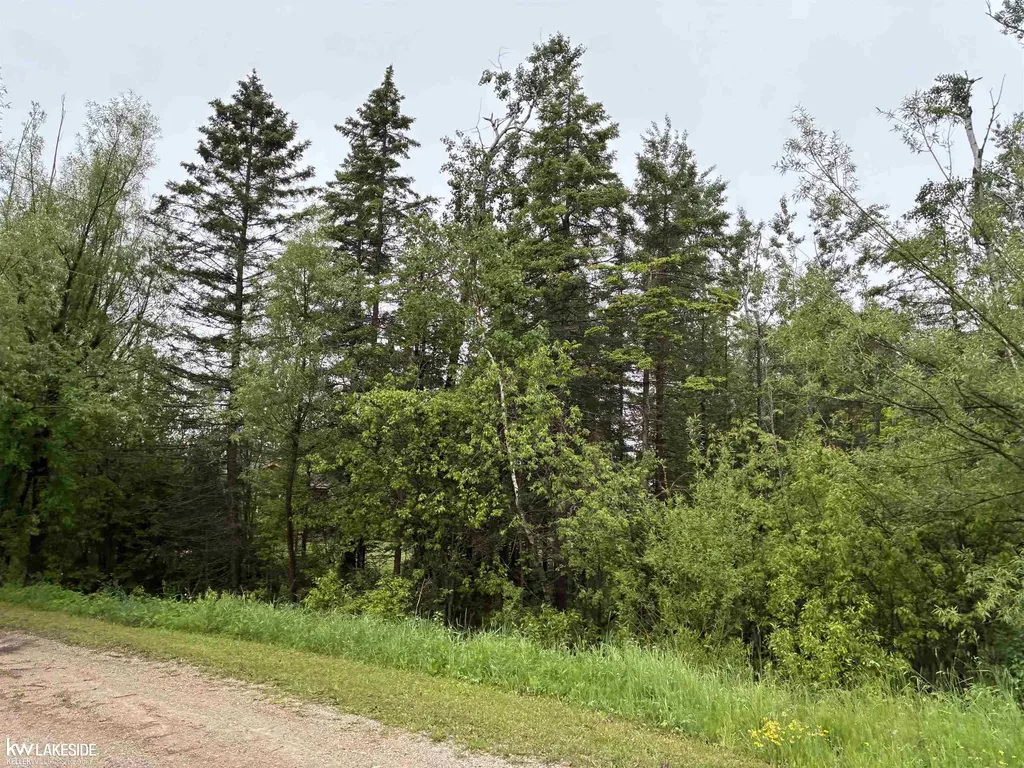 14027 Goebel Road Beaugrand Township MI 49721