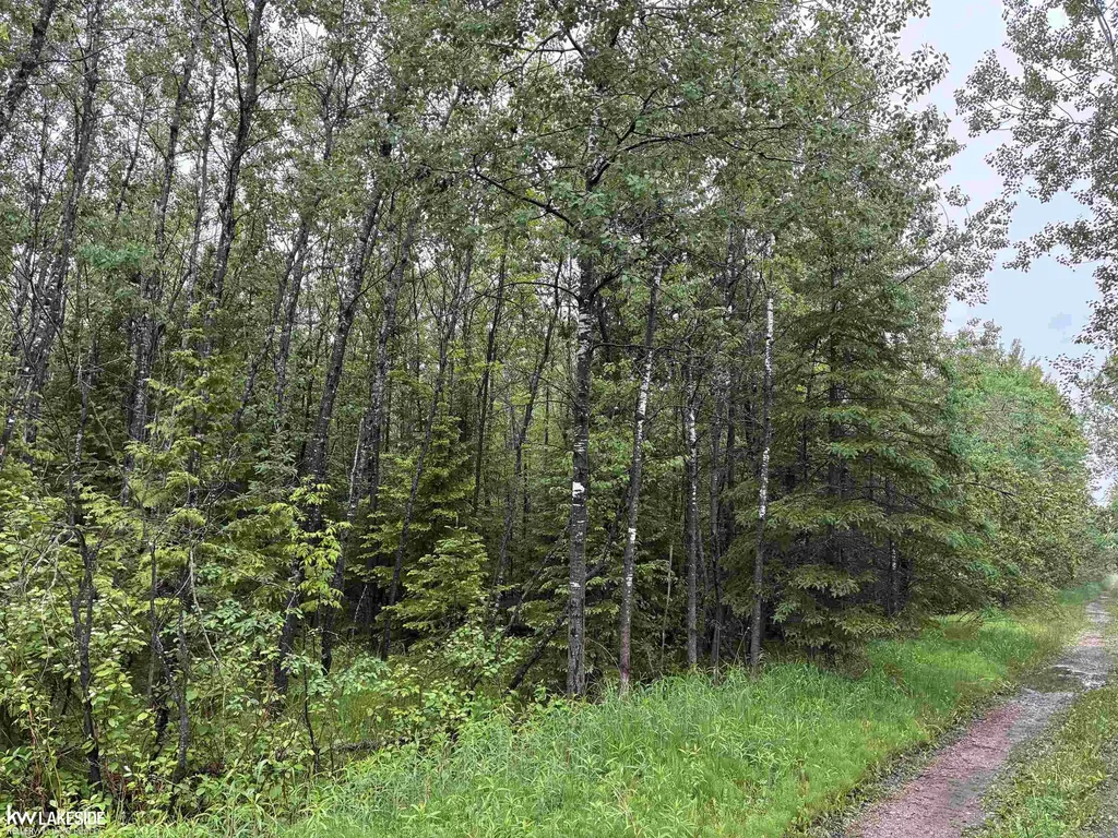 14027 Goebel Road Beaugrand Township MI 49721