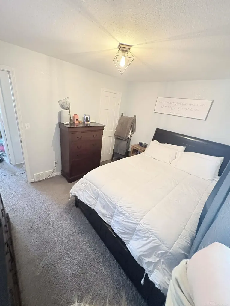 8181 Bray Road Arbela Township MI 79003