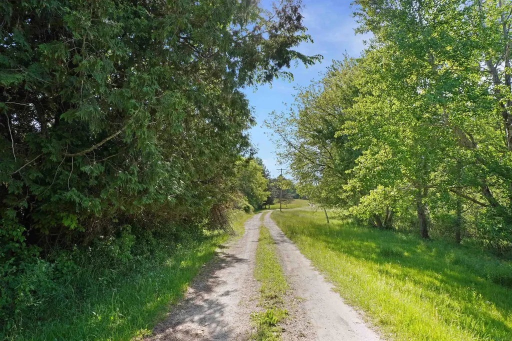 1385 N Blacks Corners Road Goodland Township MI 48444