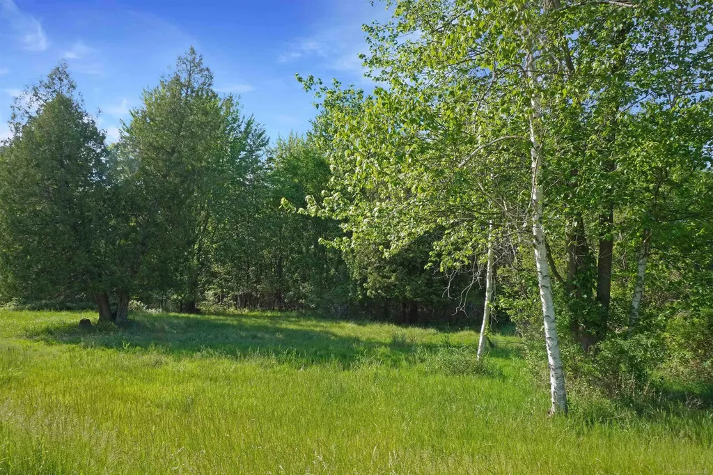 1385 N Blacks Corners Road Goodland Township MI 48444