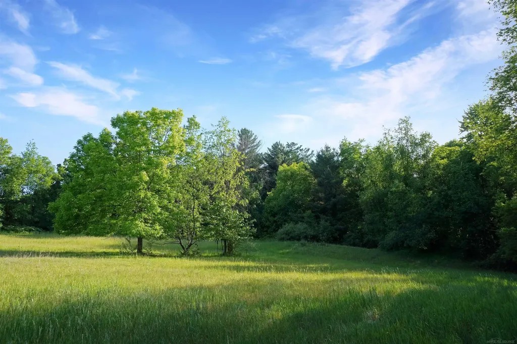 1385 N Blacks Corners Road Goodland Township MI 48444