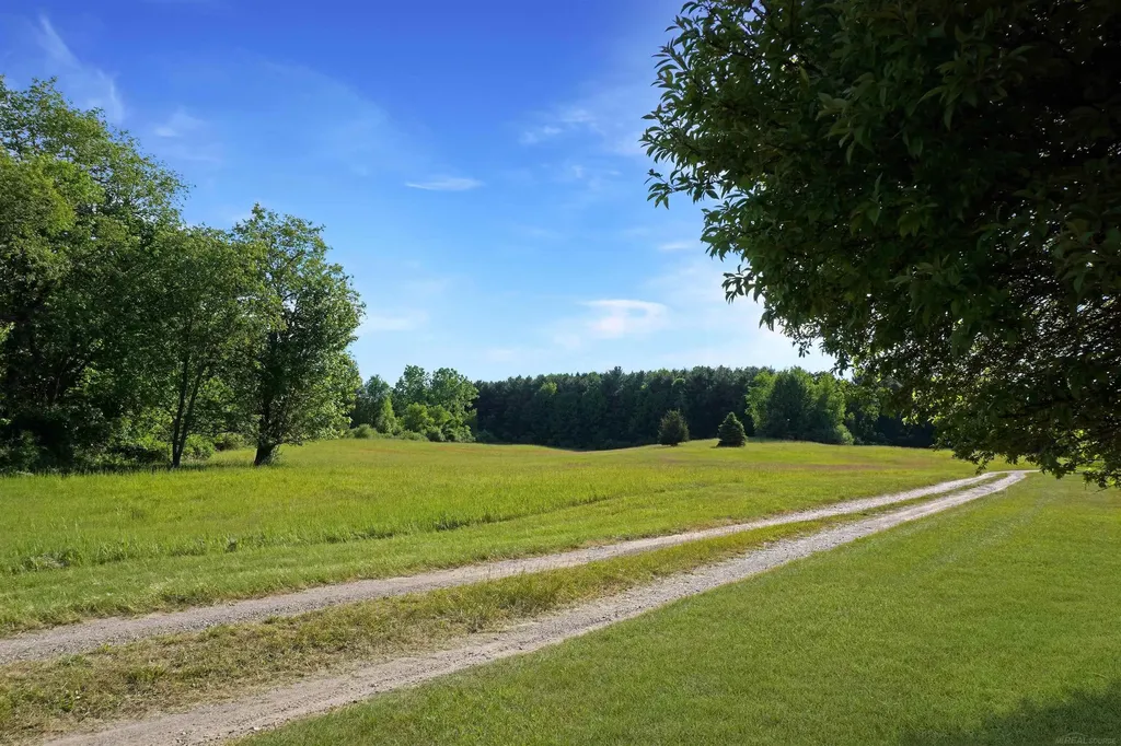 1385 N Blacks Corners Road Goodland Township MI 48444