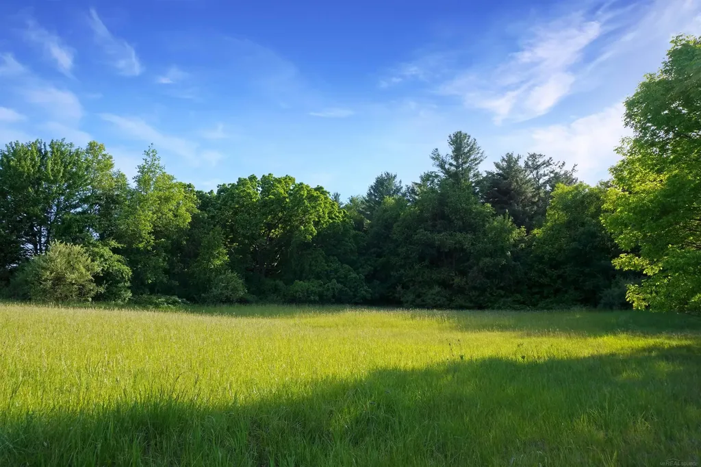 1385 N Blacks Corners Road Goodland Township MI 48444