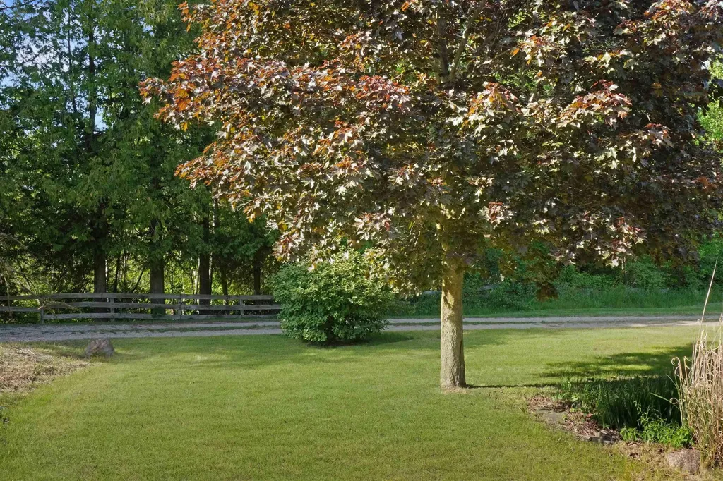 1385 N Blacks Corners Road Goodland Township MI 48444