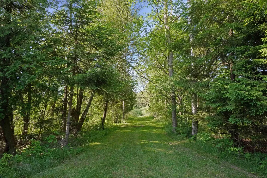 1385 N Blacks Corners Road Goodland Township MI 48444