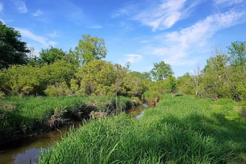 1385 N Blacks Corners Road Goodland Township MI 48444