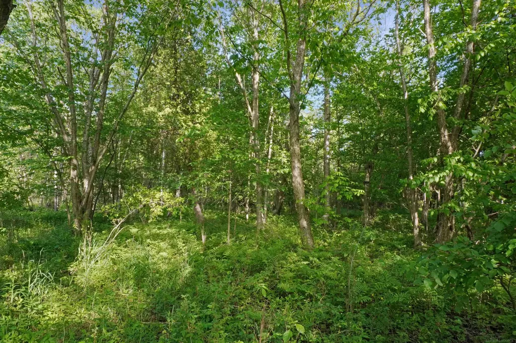 1385 N Blacks Corners Road Goodland Township MI 48444