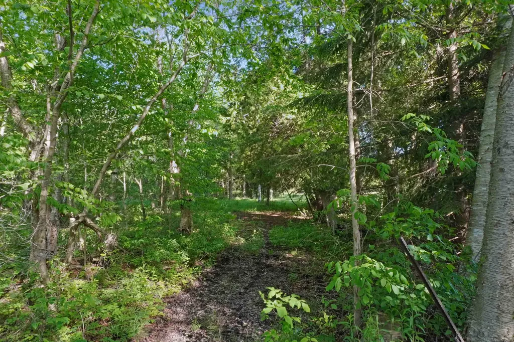 1385 N Blacks Corners Road Goodland Township MI 48444