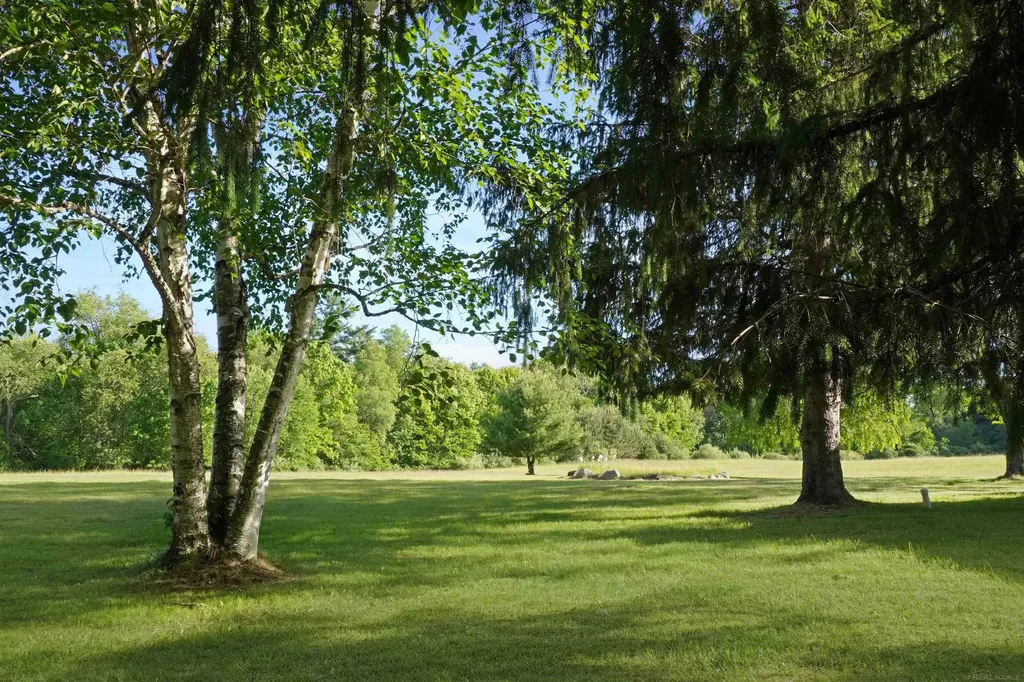 1385 N Blacks Corners Road Goodland Township MI 48444
