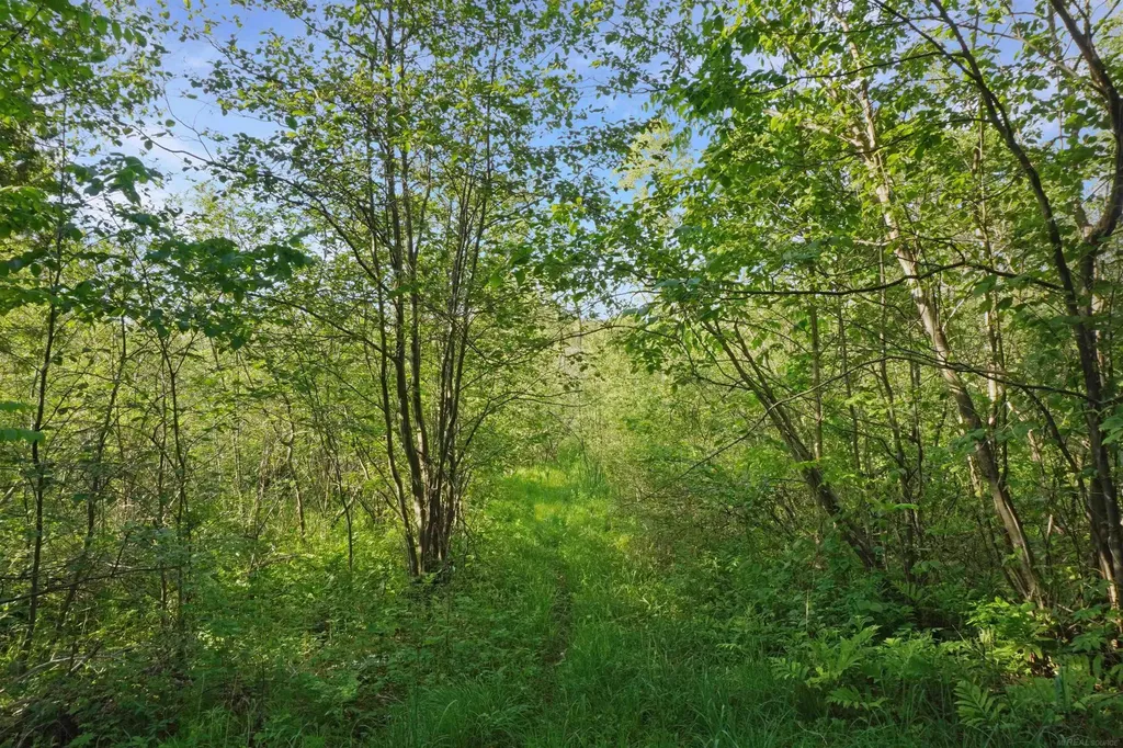 1385 N Blacks Corners Road Goodland Township MI 48444