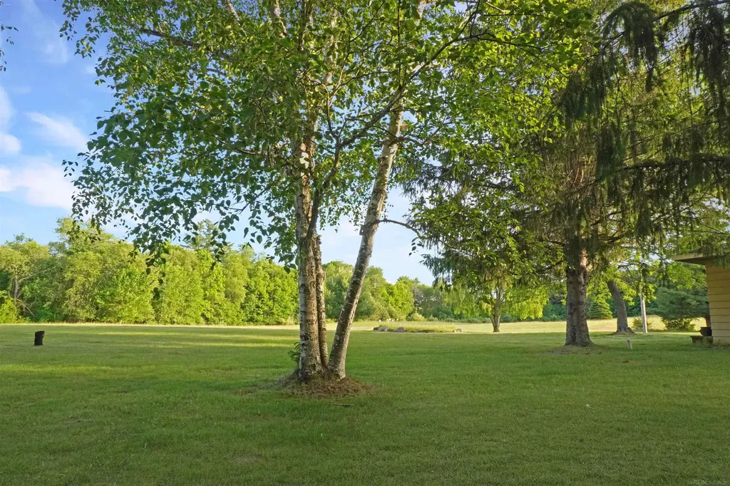 1385 N Blacks Corners Road Goodland Township MI 48444