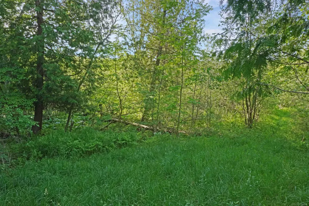 1385 N Blacks Corners Road Goodland Township MI 48444