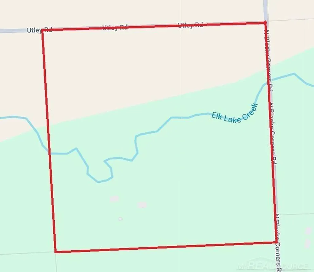 1385 N Blacks Corners Road Goodland Township MI 48444