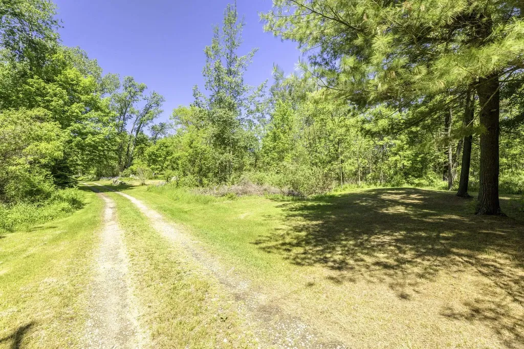 3388 N Lakeshore Road Forester Township MI 48427
