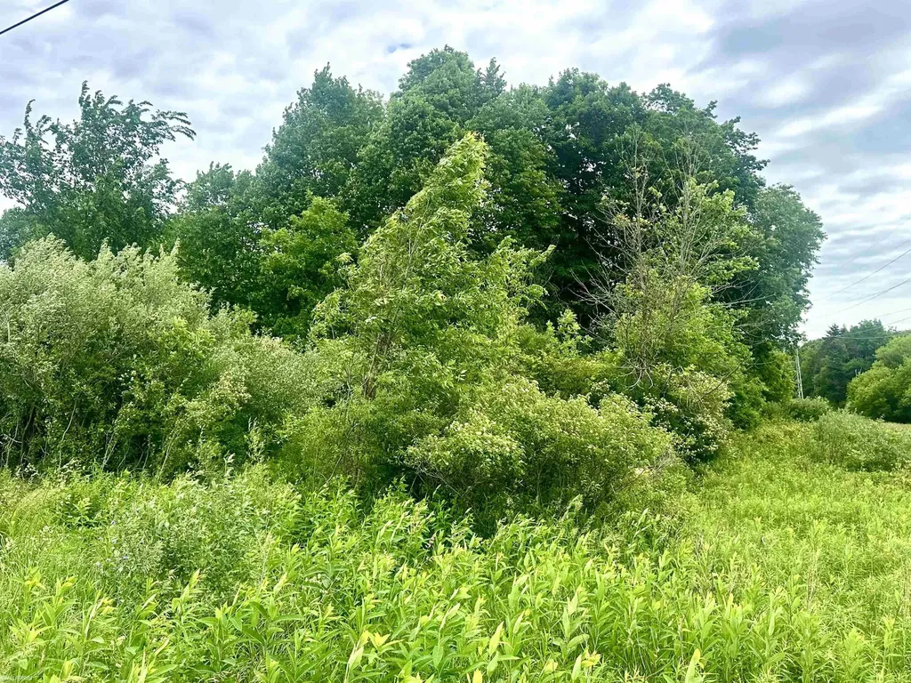 Vl Braidwood Parcel 5 Road Riley Township MI 48041