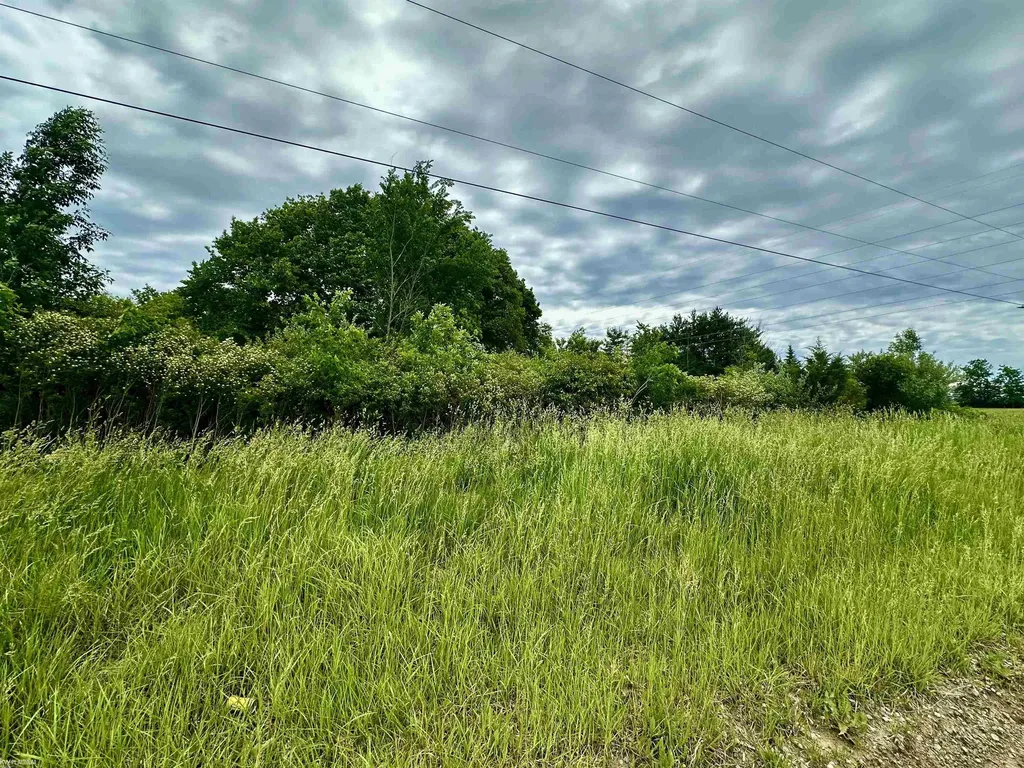 Vl Braidwood Parcel 5 Road Riley Township MI 48041