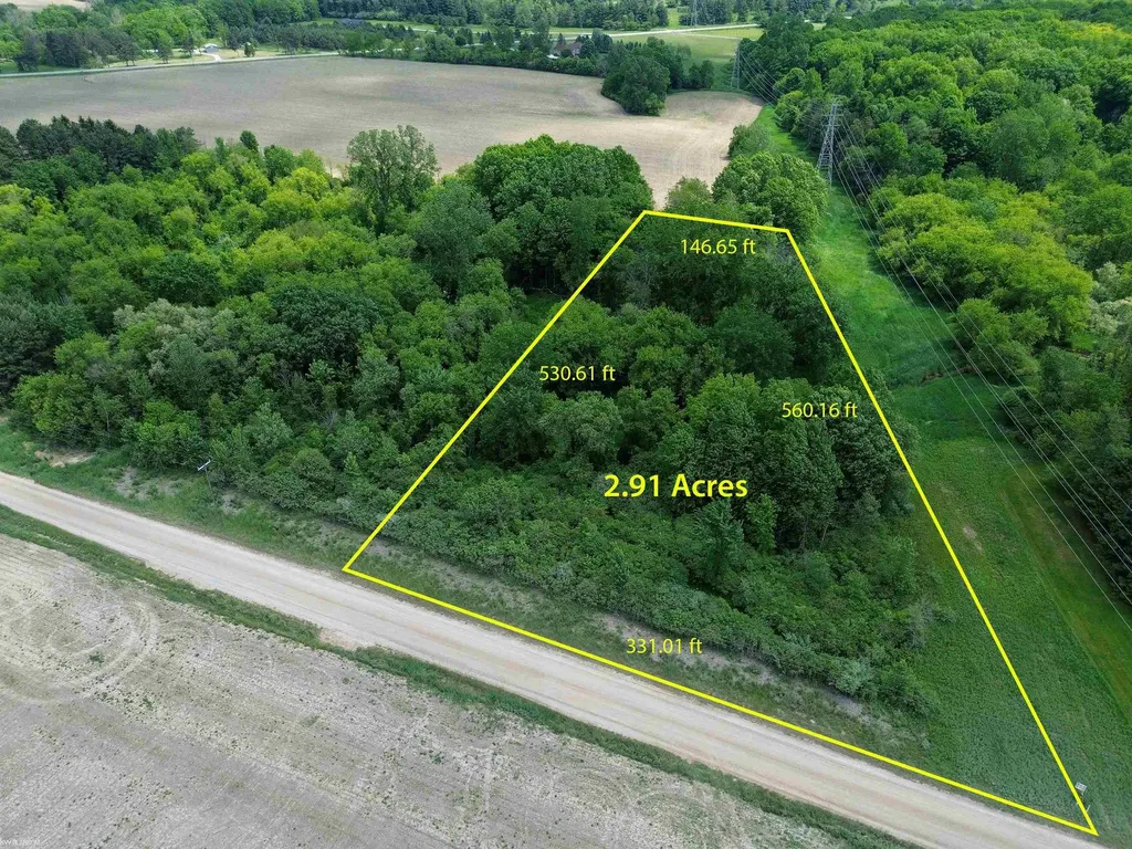 Vl Braidwood Parcel 5 Road Riley Township MI 48041