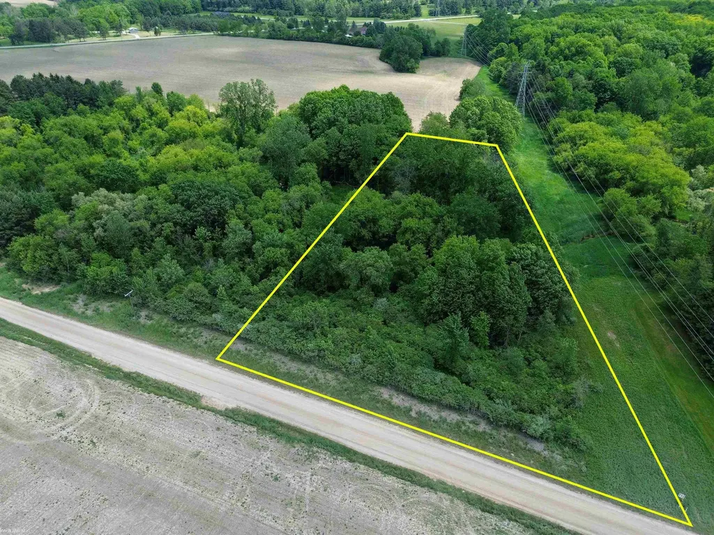 Vl Braidwood Parcel 5 Road Riley Township MI 48041