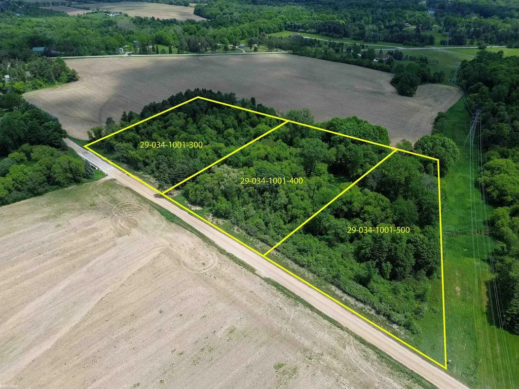 Vl Braidwood Parcel 3 Road Riley Township MI 48041
