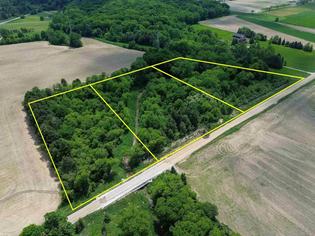 Vl Braidwood Parcel 3 Road Riley Township MI 48041