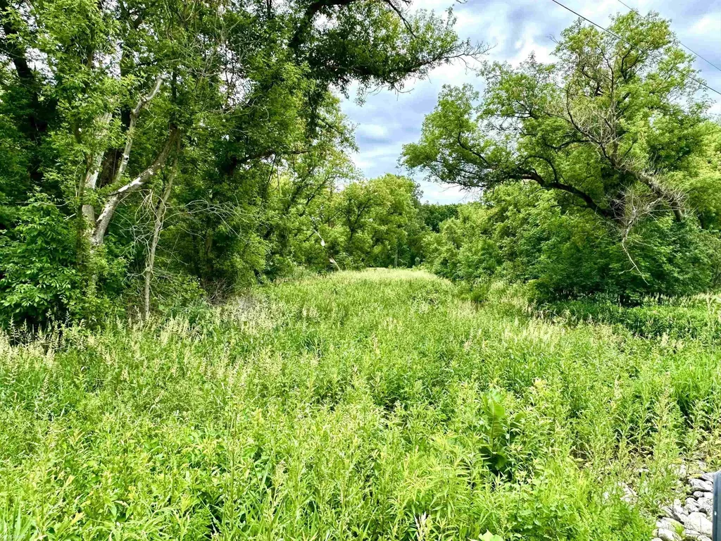 Vl Braidwood Parcel 3 Road Riley Township MI 48041