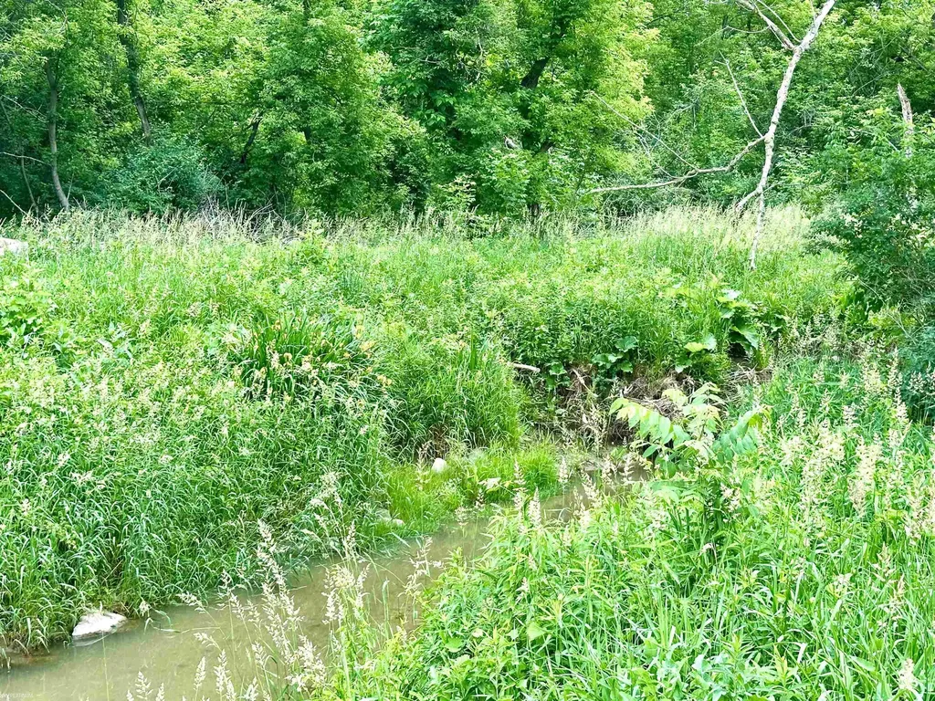 Vl Braidwood Parcel 3 Road Riley Township MI 48041