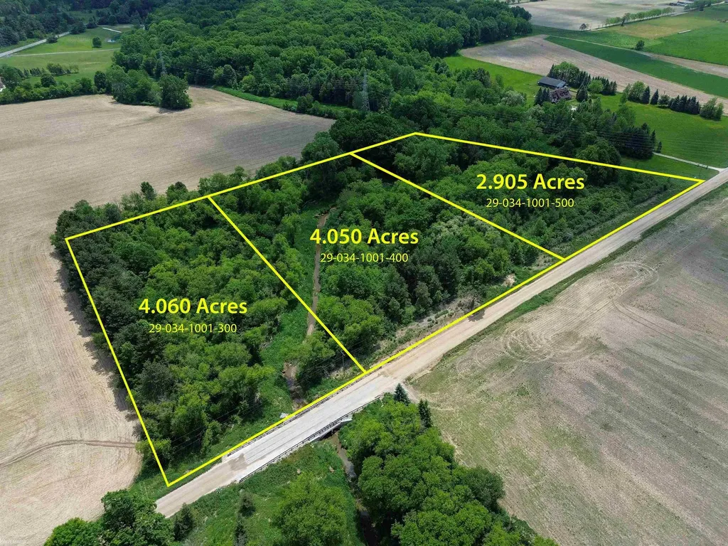 Vl Braidwood Parcel 3 Road Riley Township MI 48041